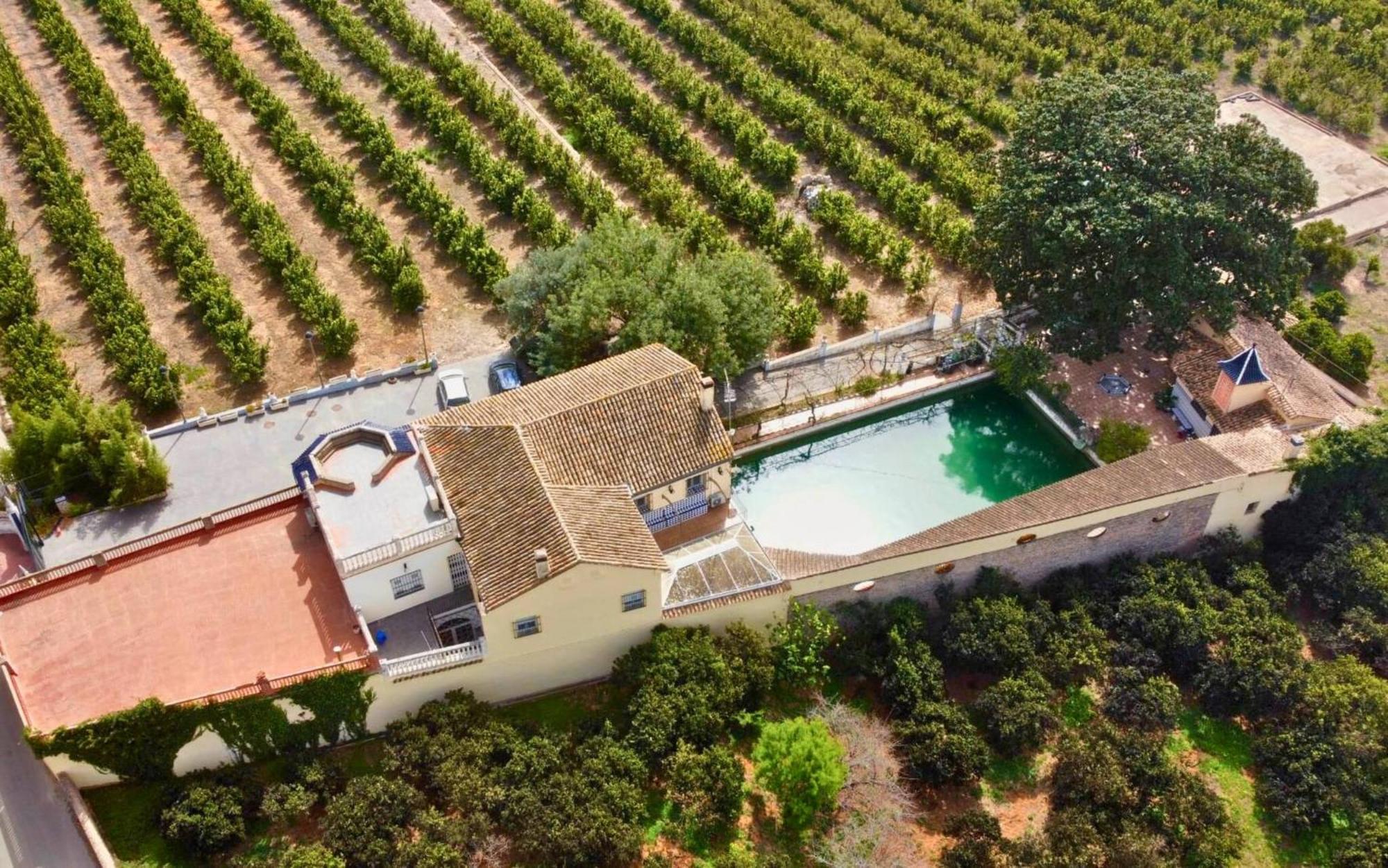 Casa Magnolia, A Rural Paradise House With Pool Villa Alzira Exterior photo