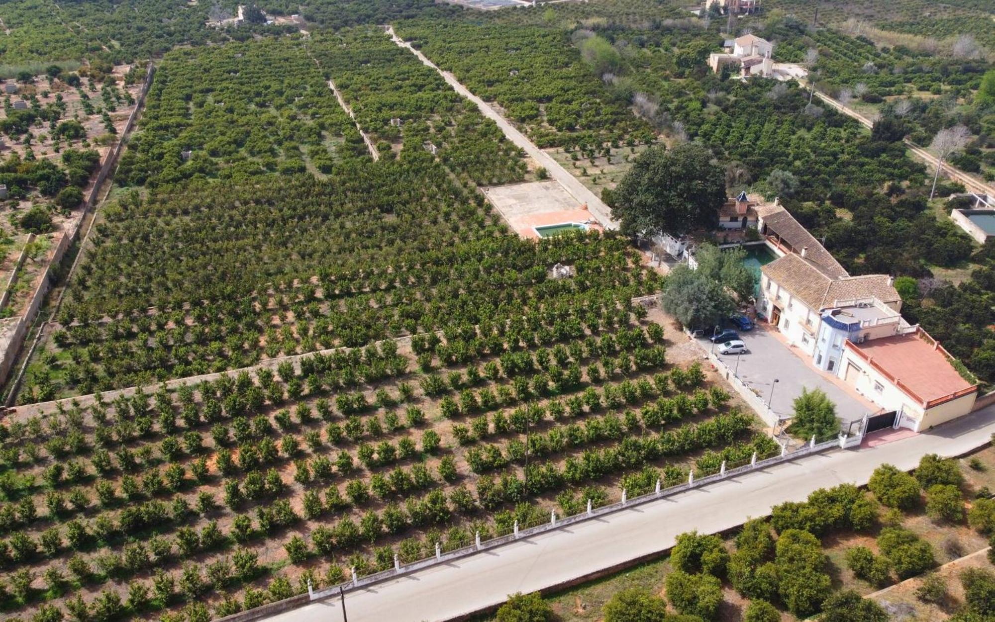 Casa Magnolia, A Rural Paradise House With Pool Villa Alzira Exterior photo