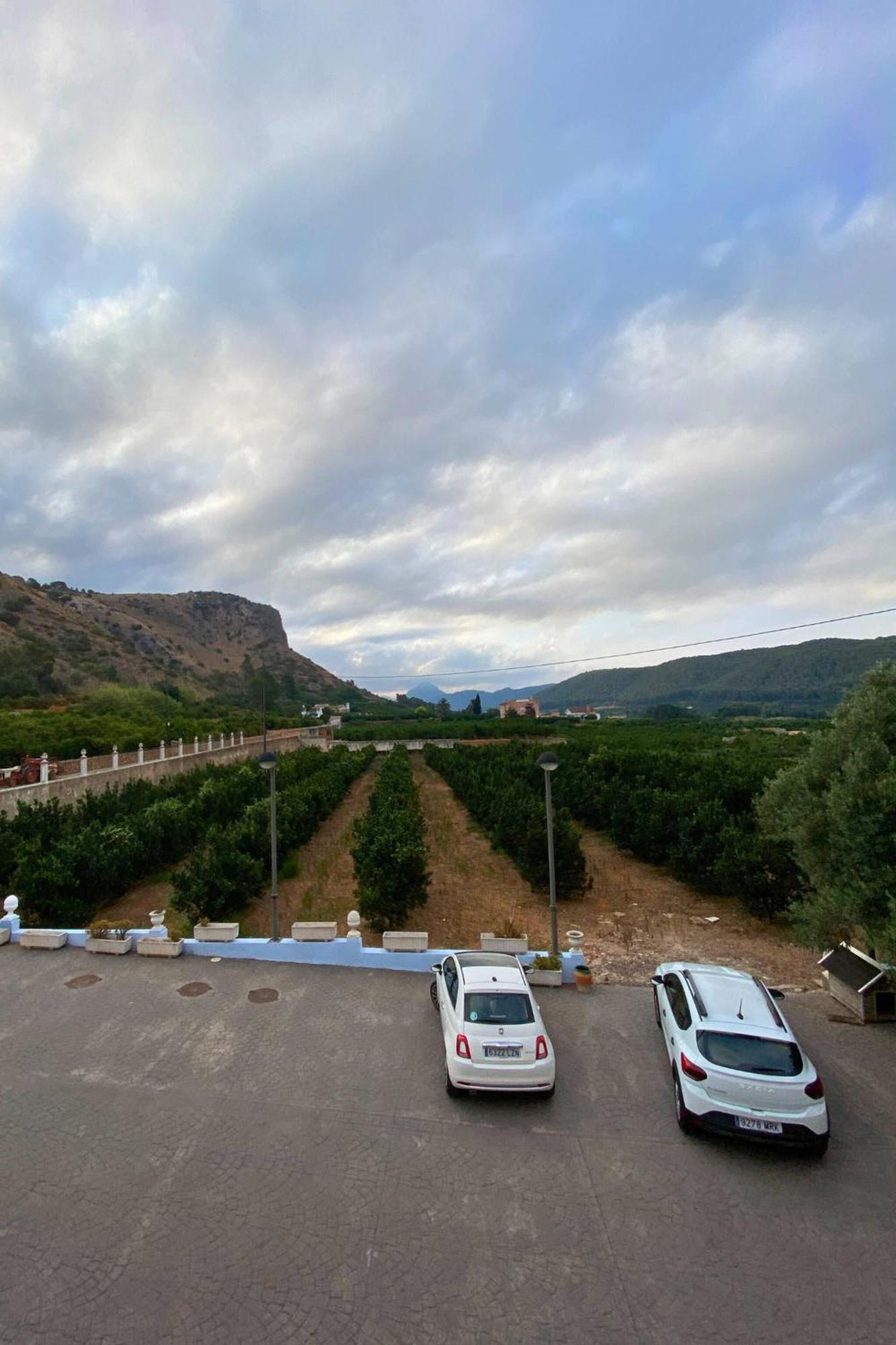 Casa Magnolia, A Rural Paradise House With Pool Villa Alzira Exterior photo