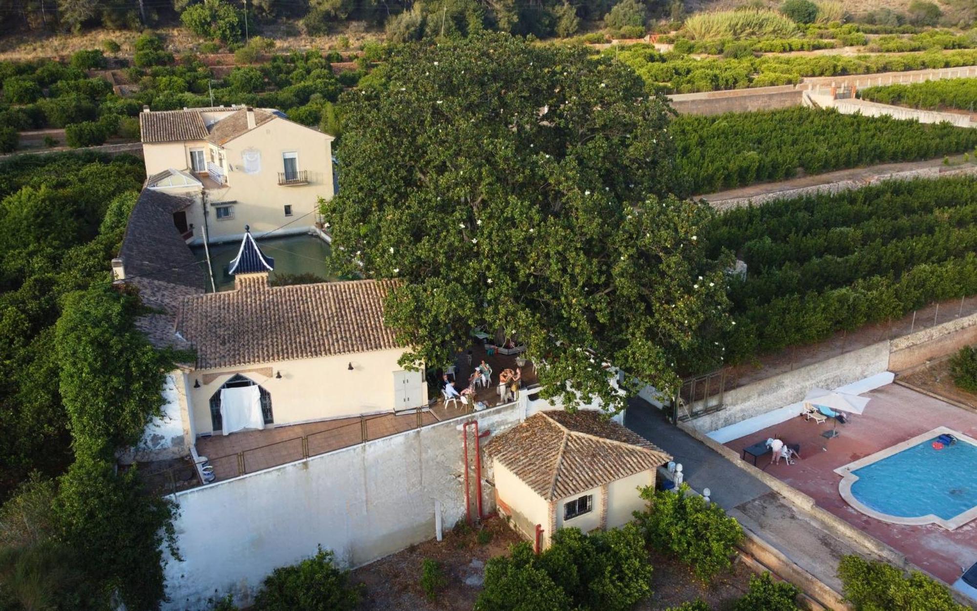 Casa Magnolia, A Rural Paradise House With Pool Villa Alzira Exterior photo